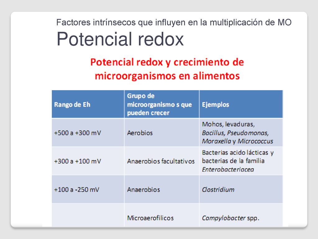 Factores intrínsecos que influyen en la multiplicación de MO Potencial redox