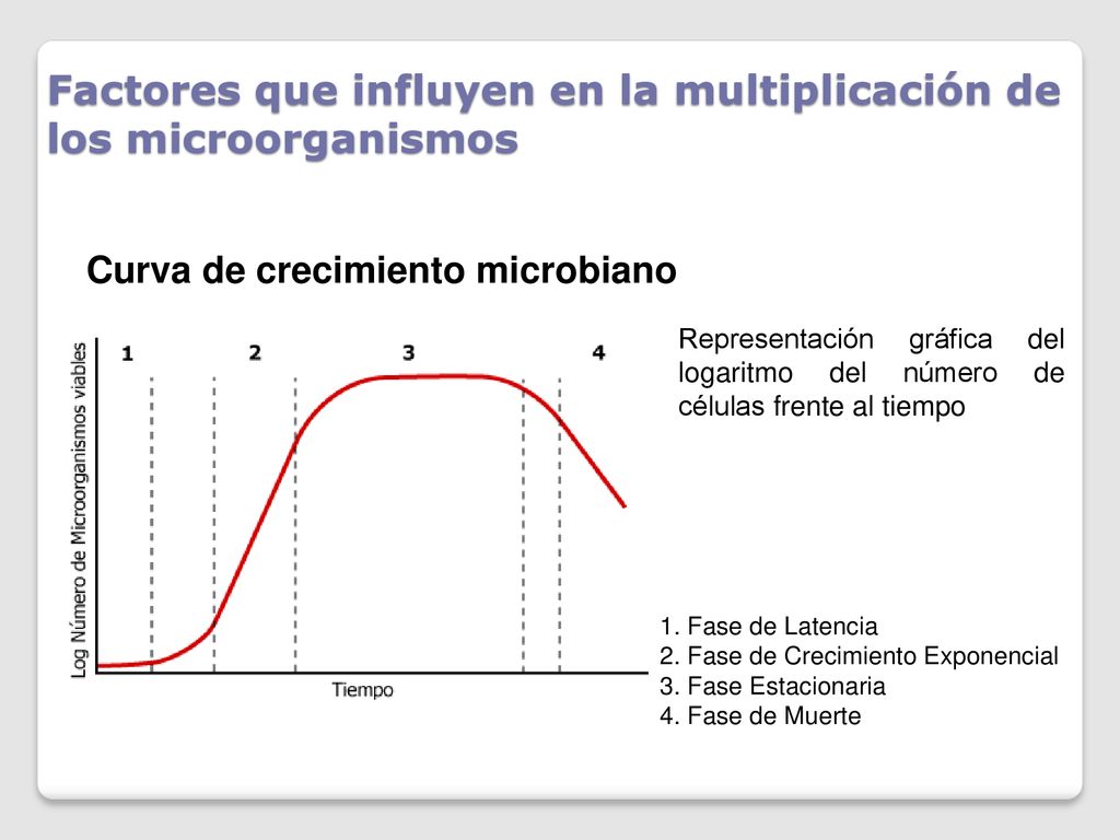 Factores que influyen en la multiplicación de los microorganismos