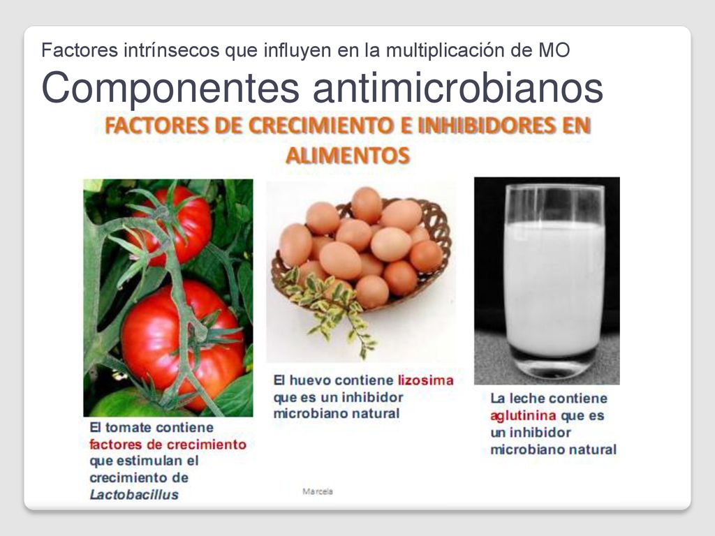 Factores intrínsecos que influyen en la multiplicación de MO Componentes antimicrobianos