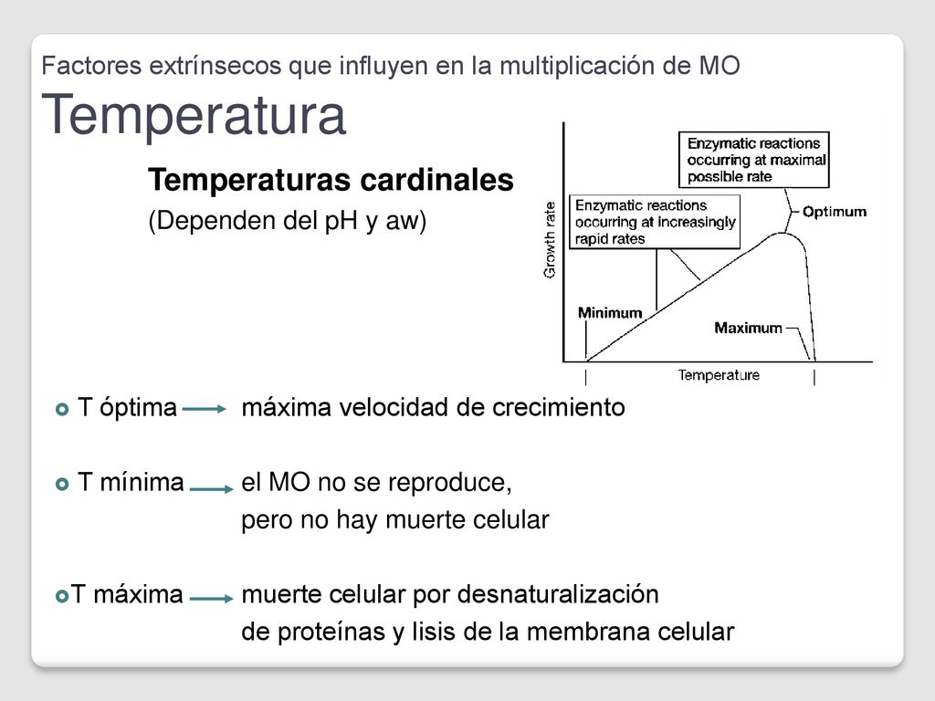 Factores extrínsecos que influyen en la multiplicación de MO Temperatura