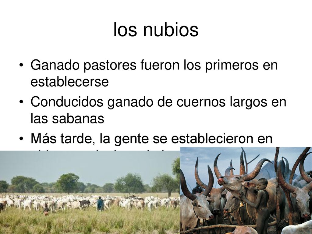 los nubios Ganado pastores fueron los primeros en establecerse
