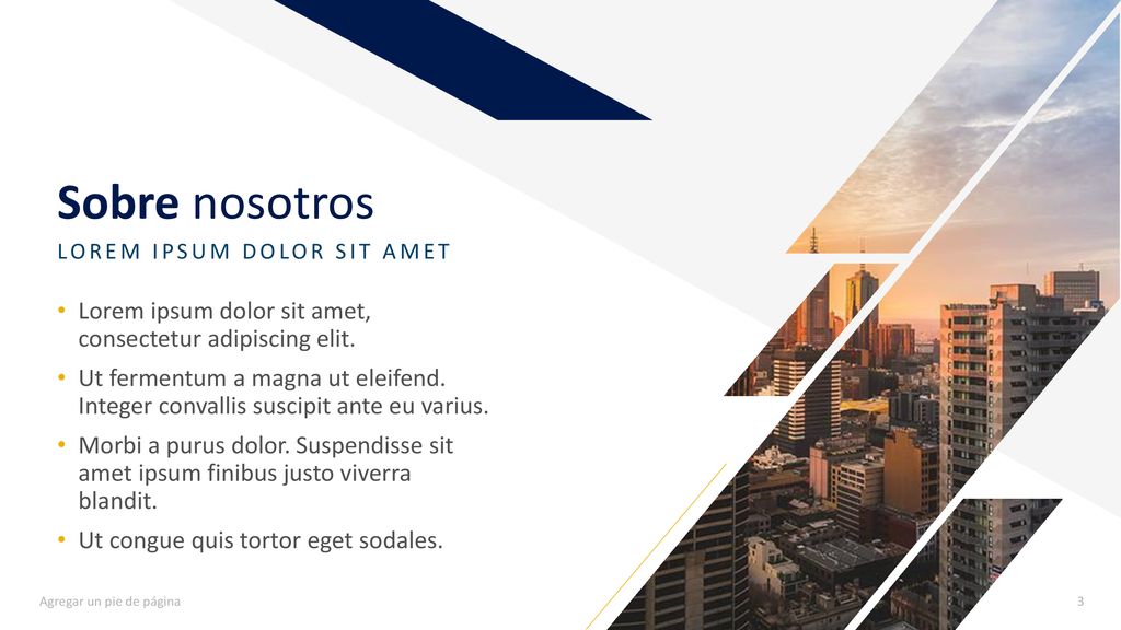 Sobre nosotros LOREM IPSUM DOLOR SIT AMET. Lorem ipsum dolor sit amet, consectetur adipiscing elit.