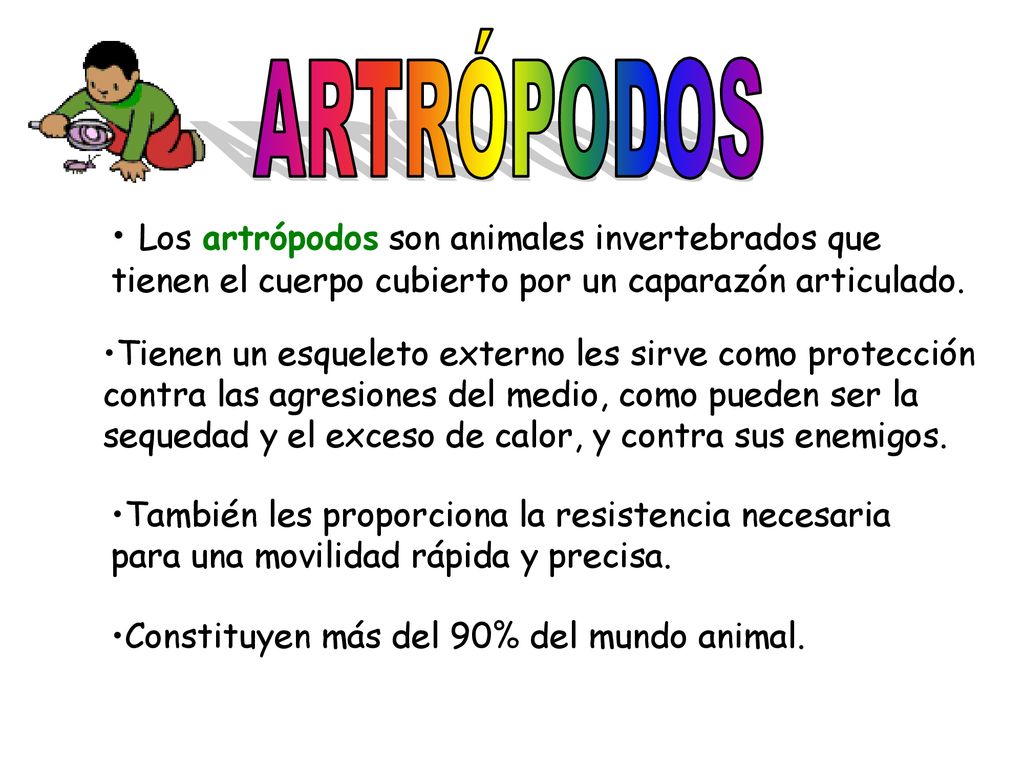 ARTRÓPODOS Los artrópodos son animales invertebrados que tienen el cuerpo cubierto por un caparazón articulado.