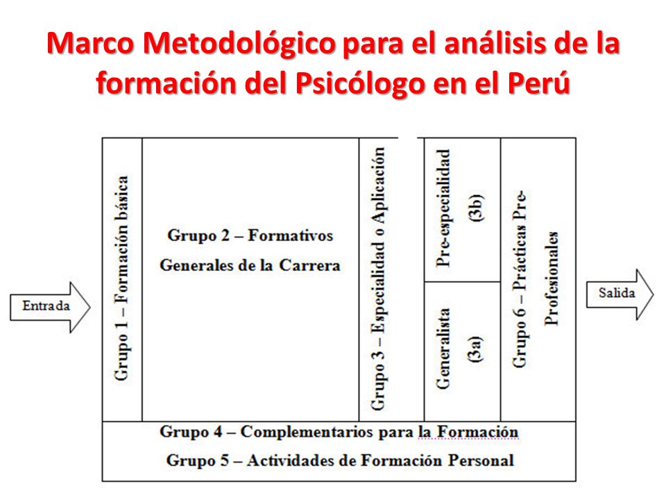 Marco Metodológico para el análisis de la formación del Psicólogo en el Perú