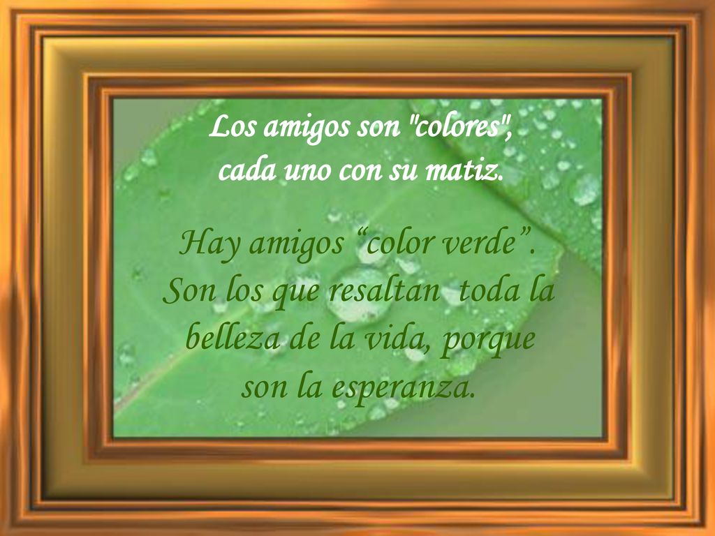 Hay amigos color verde .