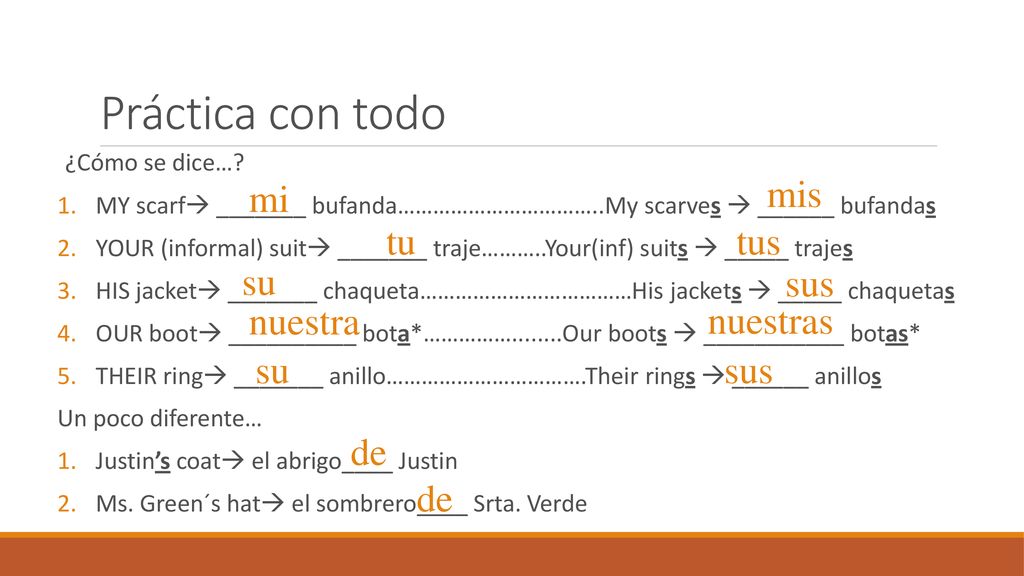 Práctica con todo mis mi tu tus su sus nuestra nuestras su sus de de