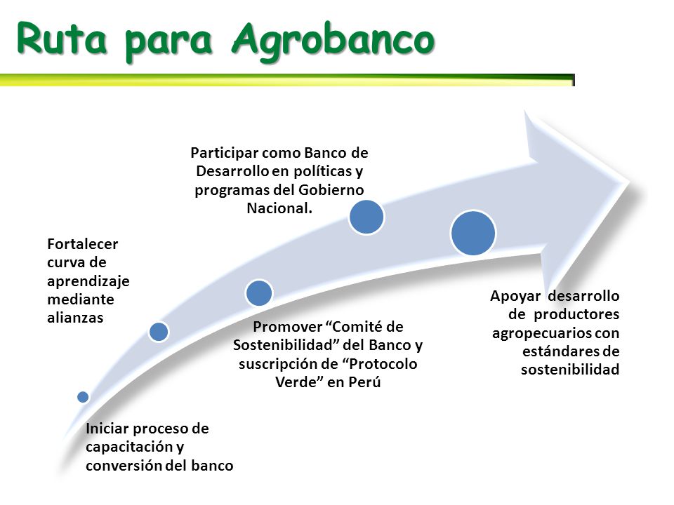 Ruta para Agrobanco Iniciar proceso de capacitación y conversión del banco. Fortalecer curva de aprendizaje mediante alianzas.