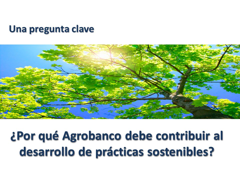 Una pregunta clave ¿Por qué Agrobanco debe contribuir al desarrollo de prácticas sostenibles