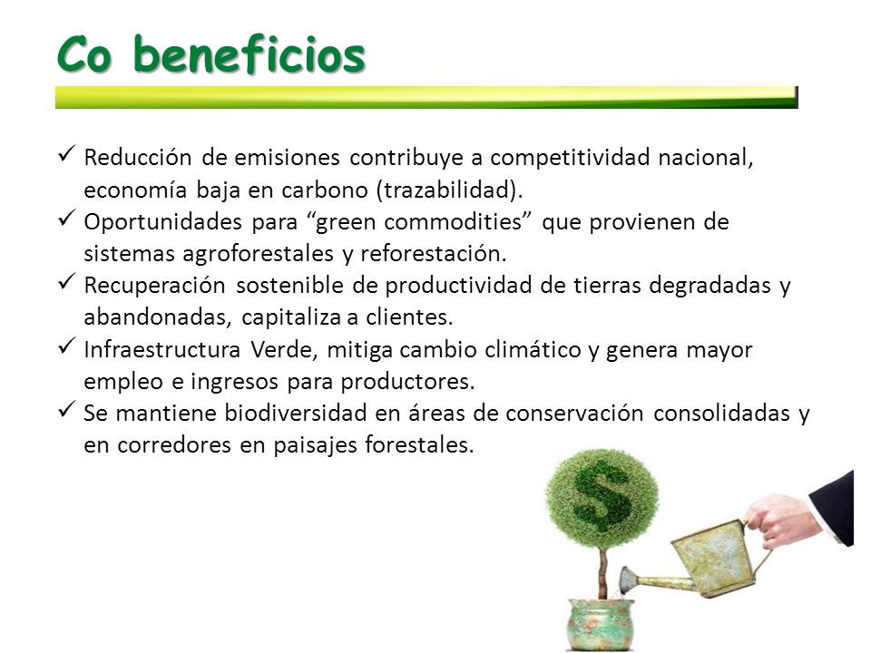 Co beneficios Reducción de emisiones contribuye a competitividad nacional, economía baja en carbono (trazabilidad).