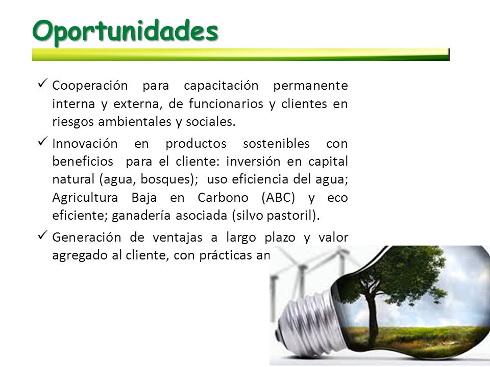 Oportunidades Cooperación para capacitación permanente interna y externa, de funcionarios y clientes en riesgos ambientales y sociales.