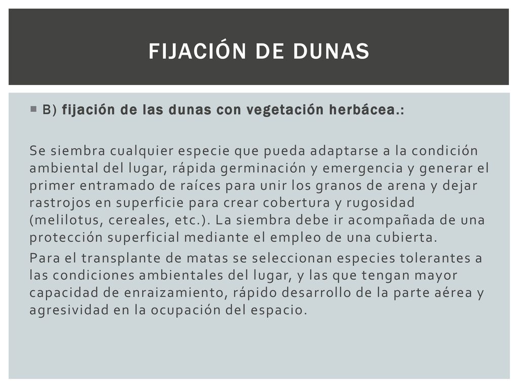 Fijación de dunas B) fijación de las dunas con vegetación herbácea.: