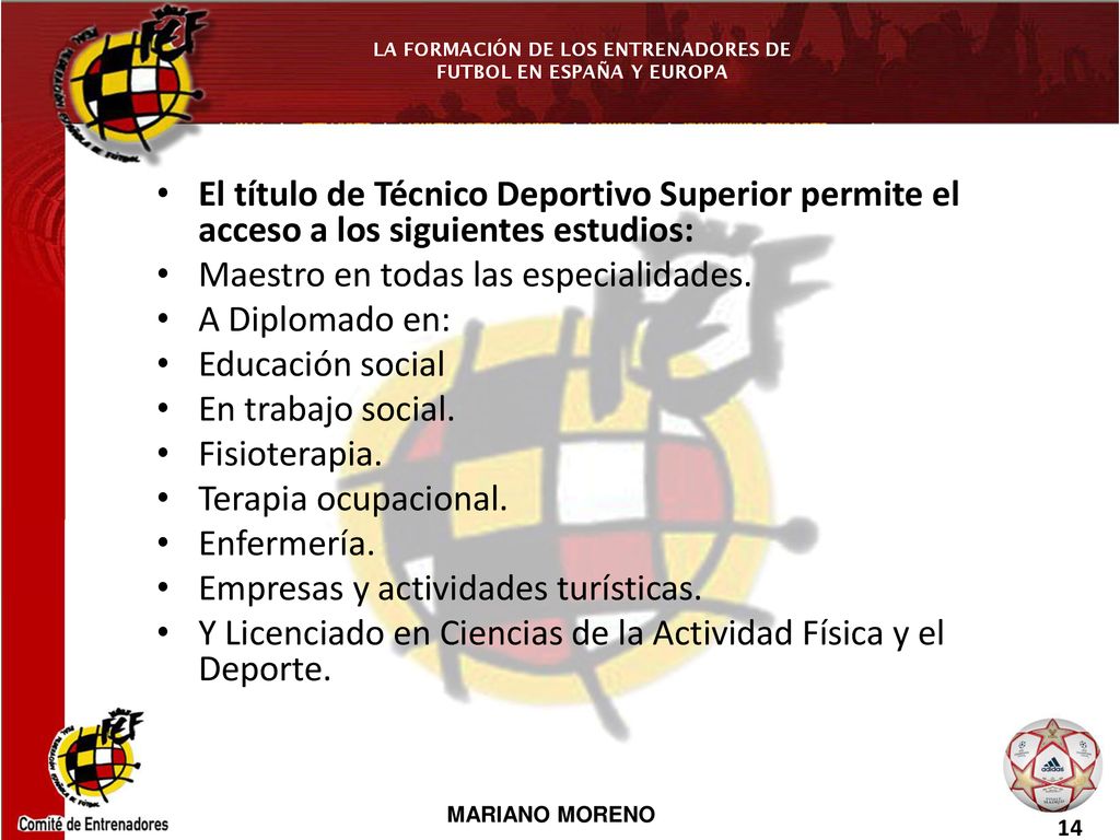El título de Técnico Deportivo Superior permite el acceso a los siguientes estudios: