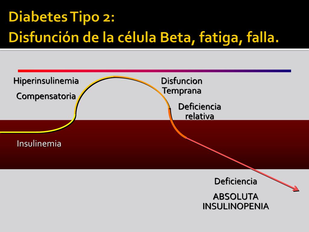 Diabetes Tipo 2: Disfunción de la célula Beta, fatiga, falla.