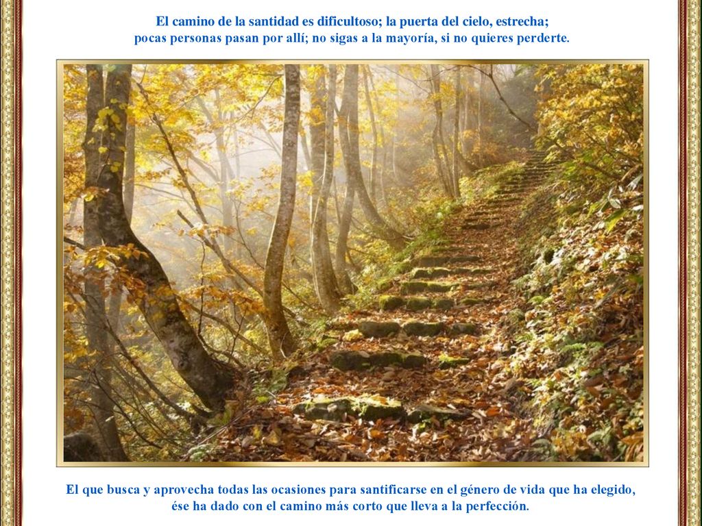 ése ha dado con el camino más corto que lleva a la perfección.