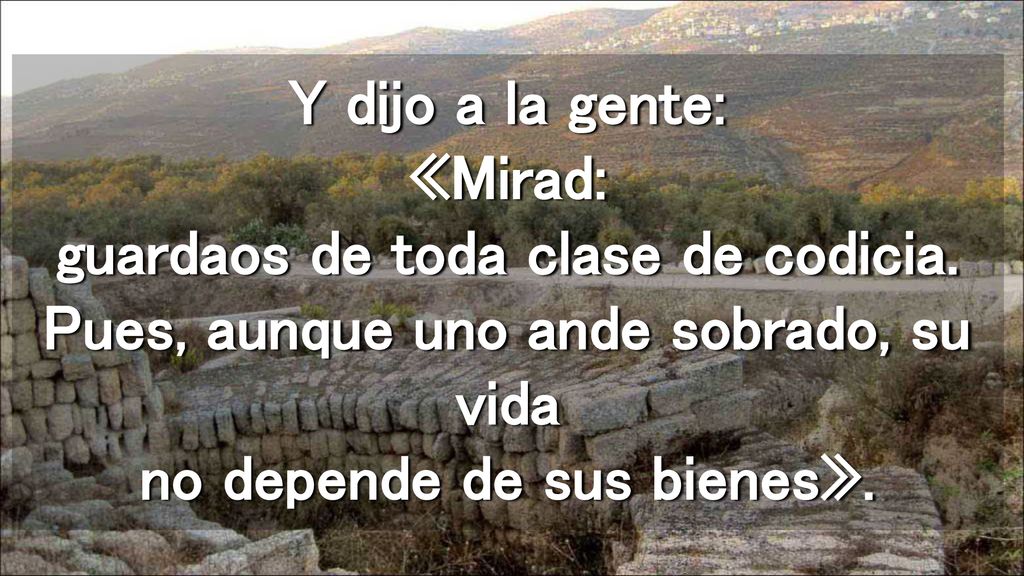 Y dijo a la gente: «Mirad: guardaos de toda clase de codicia