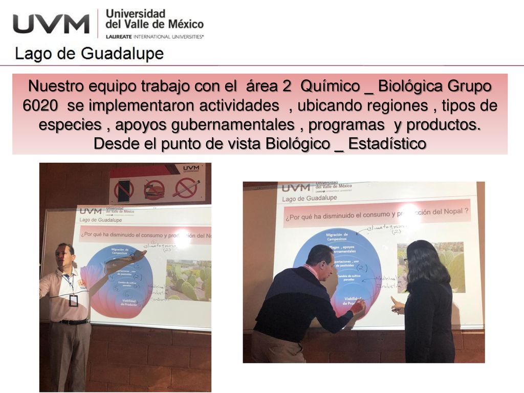 Nuestro equipo trabajo con el área 2 Químico _ Biológica Grupo 6020 se implementaron actividades , ubicando regiones , tipos de especies , apoyos gubernamentales , programas y productos.