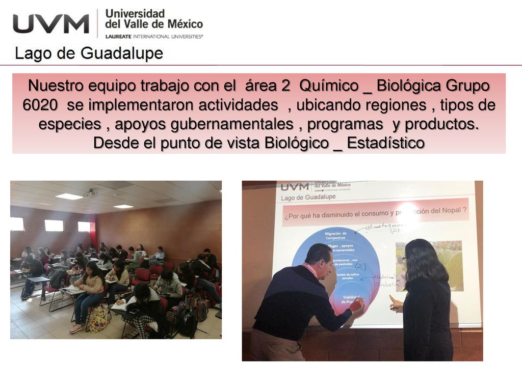 Nuestro equipo trabajo con el área 2 Químico _ Biológica Grupo 6020 se implementaron actividades , ubicando regiones , tipos de especies , apoyos gubernamentales , programas y productos.