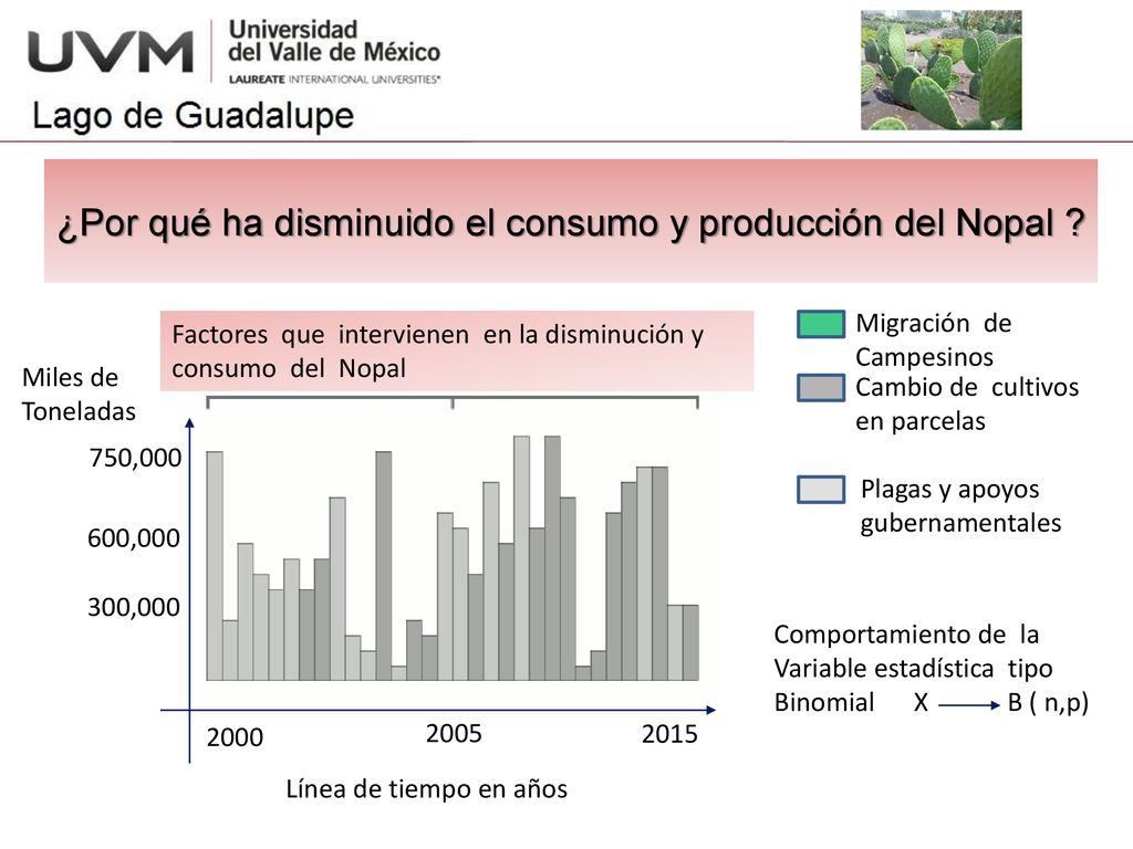 ¿Por qué ha disminuido el consumo y producción del Nopal
