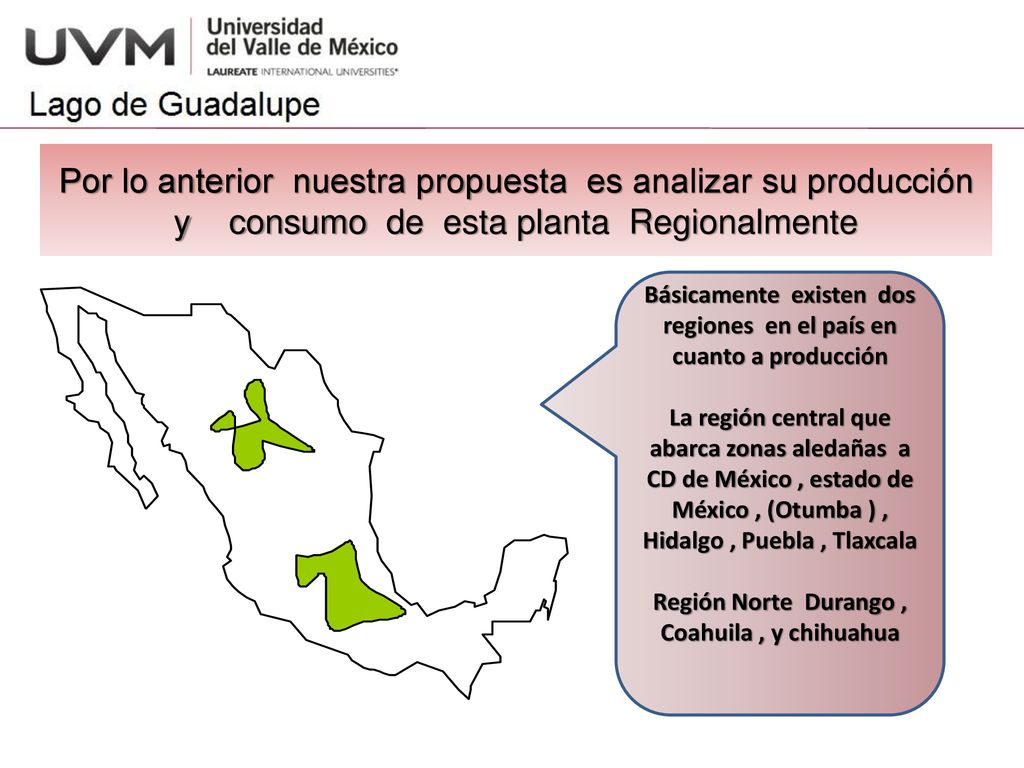 Por lo anterior nuestra propuesta es analizar su producción y consumo de esta planta Regionalmente