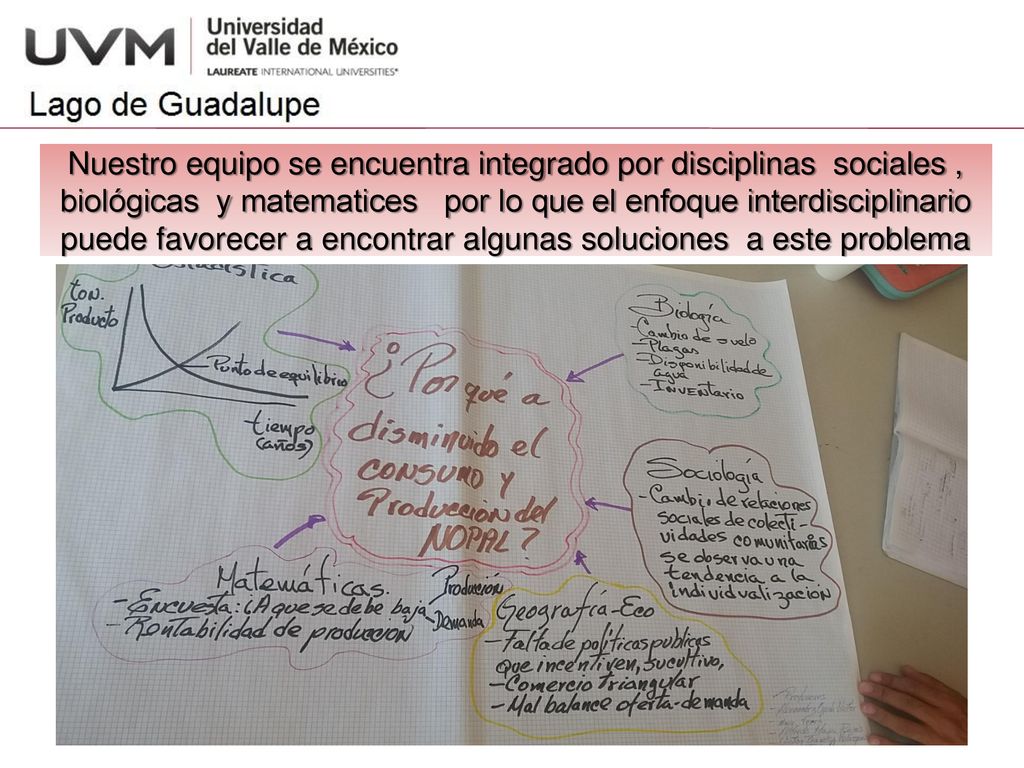 Nuestro equipo se encuentra integrado por disciplinas sociales , biológicas y matematices por lo que el enfoque interdisciplinario puede favorecer a encontrar algunas soluciones a este problema