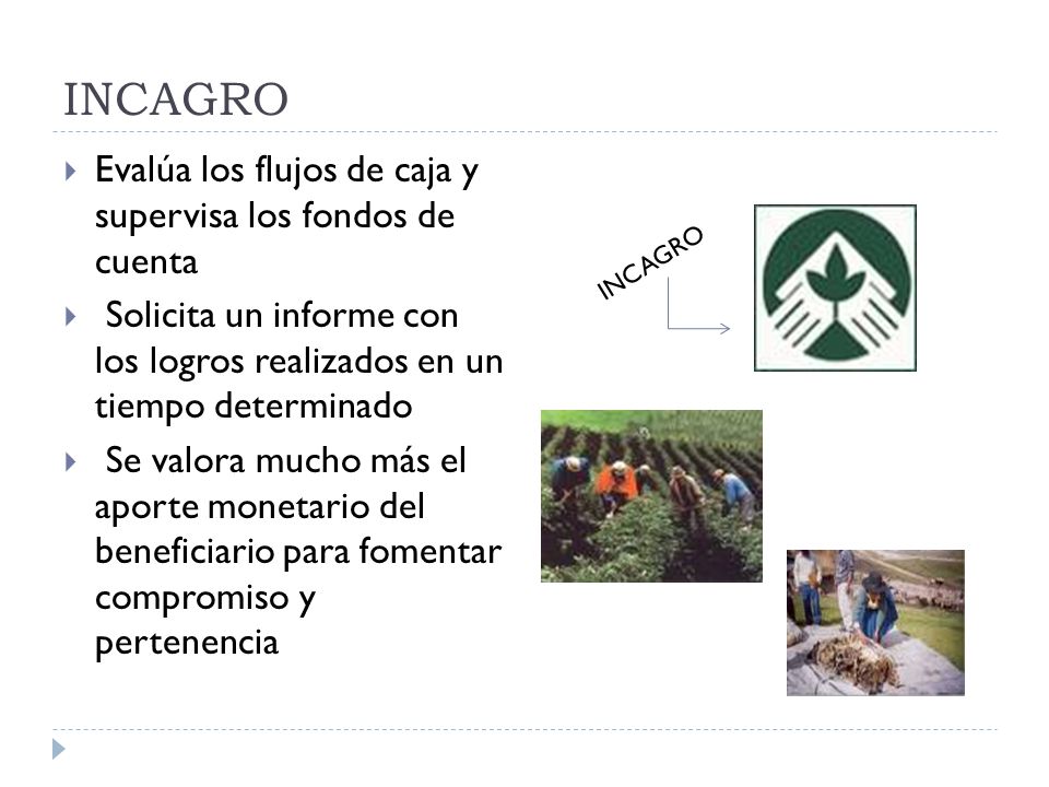 INCAGRO Evalúa los flujos de caja y supervisa los fondos de cuenta