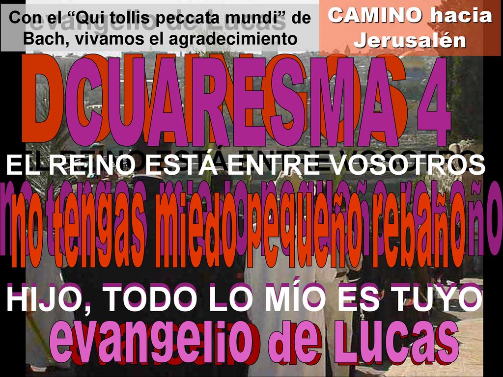 Con el Qui tollis peccata mundi de Bach, vivamos el agradecimiento