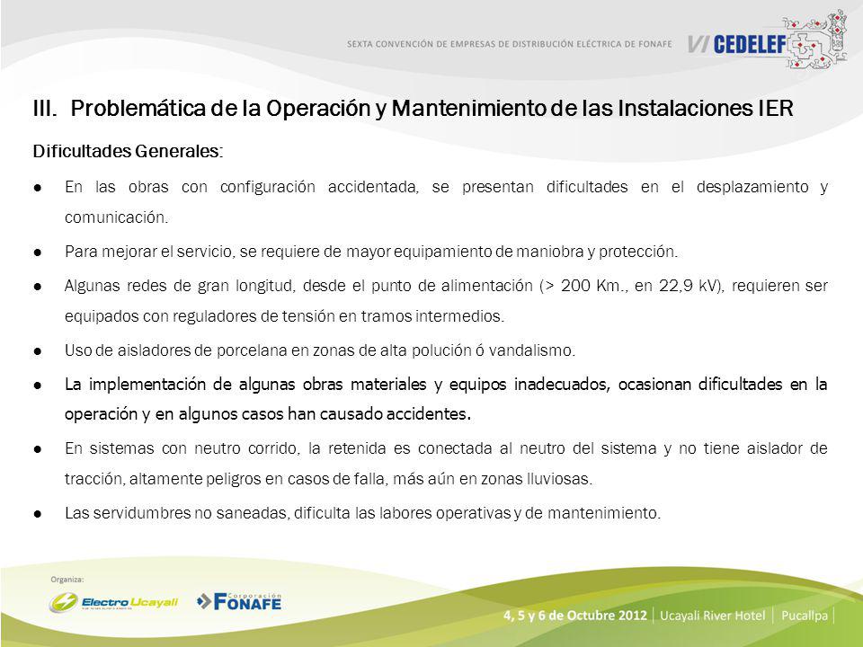 Problemática de la Operación y Mantenimiento de las Instalaciones IER