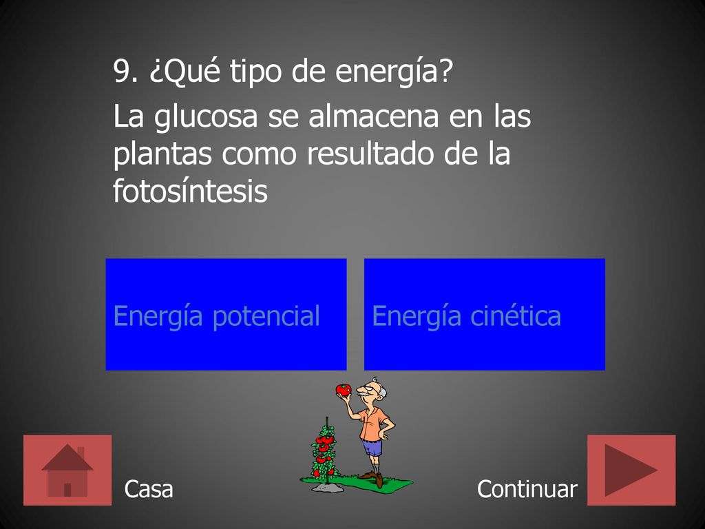 9. ¿Qué tipo de energía La glucosa se almacena en las plantas como resultado de la fotosíntesis. Energía potencial.