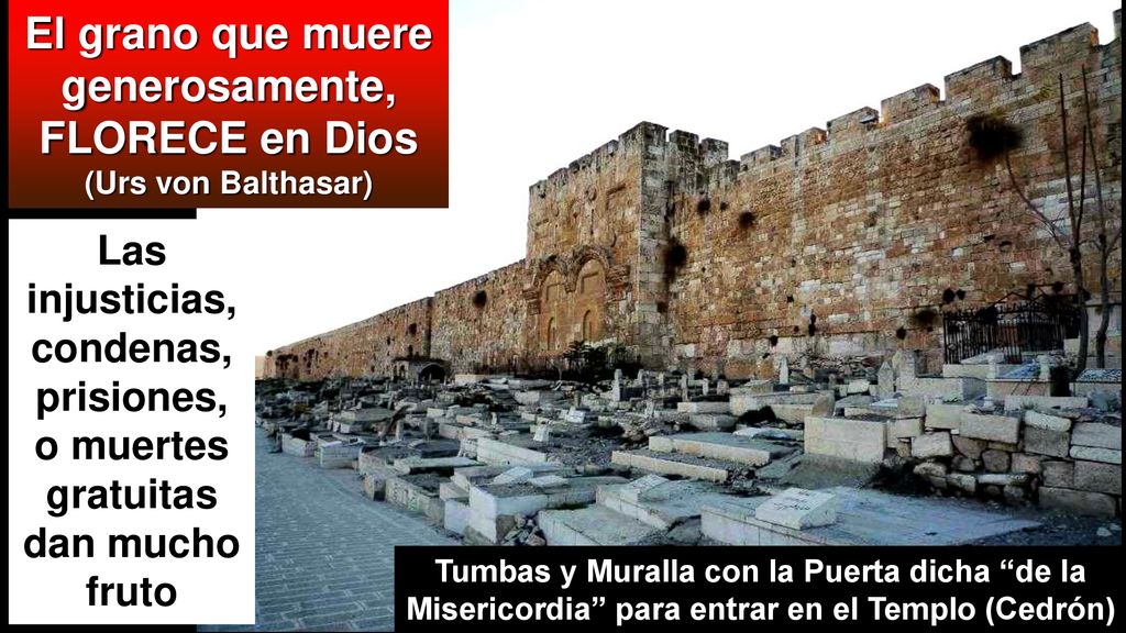 El grano que muere generosamente, FLORECE en Dios (Urs von Balthasar)