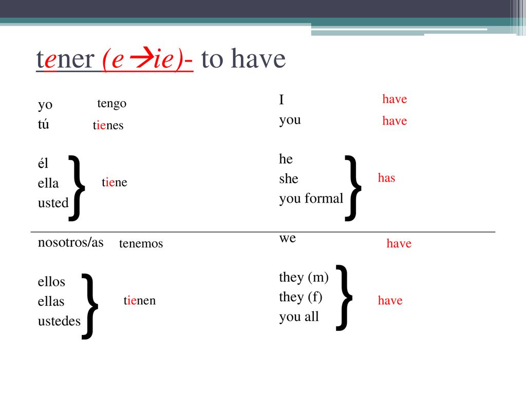 } } } } tener (eie)- to have I yo you tú he él she ella you formal