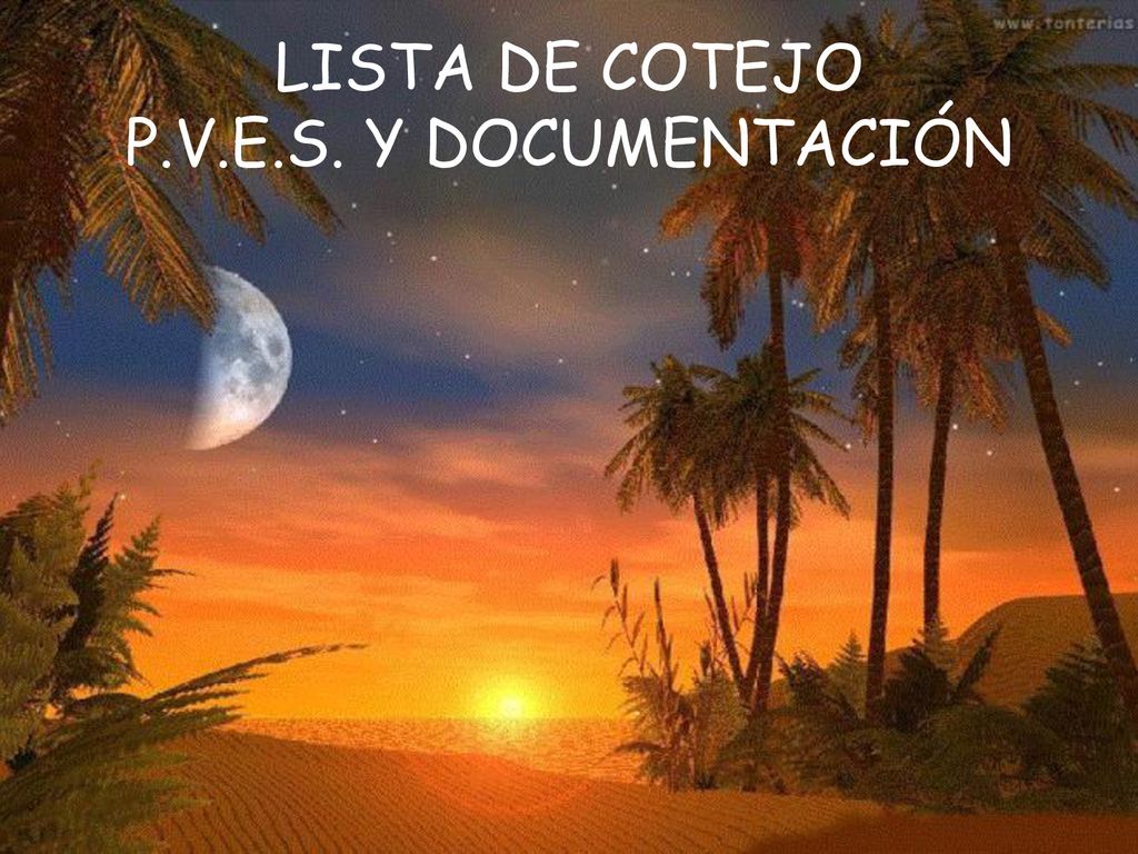 LISTA DE COTEJO P.V.E.S. Y DOCUMENTACIÓN