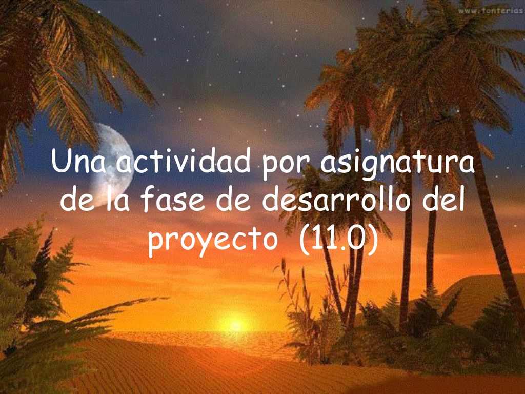 Una actividad por asignatura de la fase de desarrollo del proyecto (11