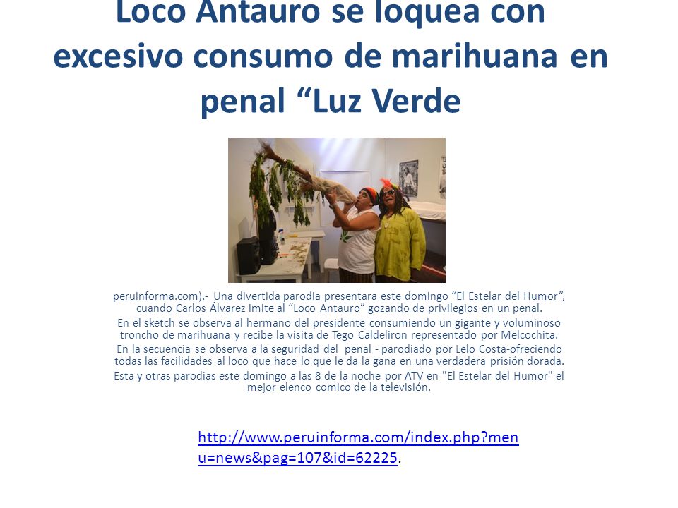 Loco Antauro se loquea con excesivo consumo de marihuana en penal Luz Verde