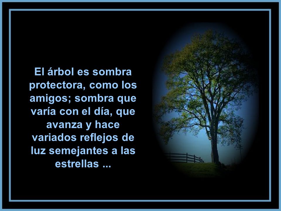 El árbol es sombra protectora, como los amigos; sombra que varía con el día, que avanza y hace variados reflejos de luz semejantes a las estrellas ...