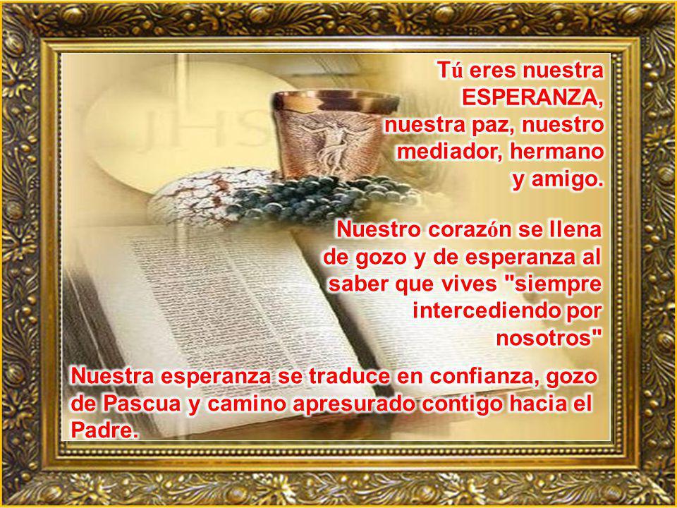 Tú eres nuestra ESPERANZA, nuestra paz, nuestro mediador, hermano y amigo.