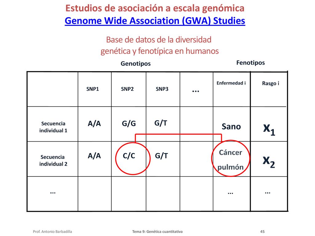 x1 x2 Base de datos de la diversidad genética y fenotípica en humanos