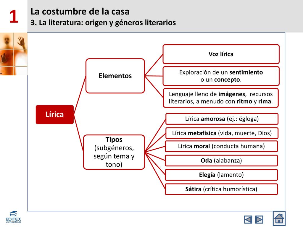 La costumbre de la casa 3. La literatura: origen y géneros literarios