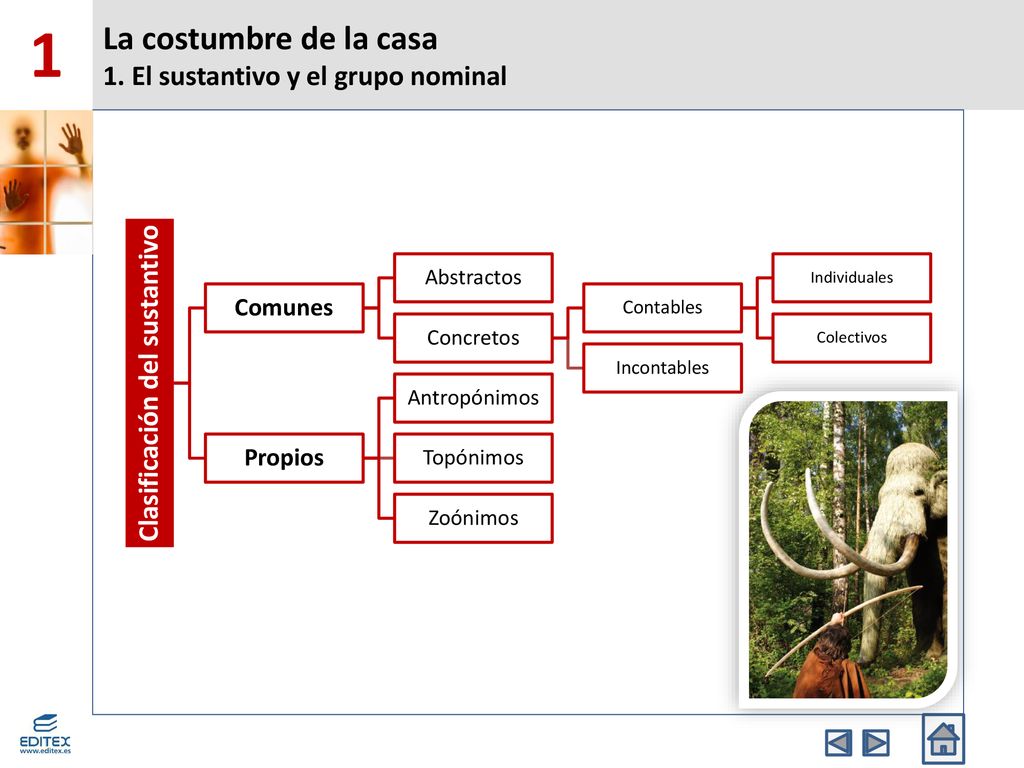 La costumbre de la casa 1. El sustantivo y el grupo nominal