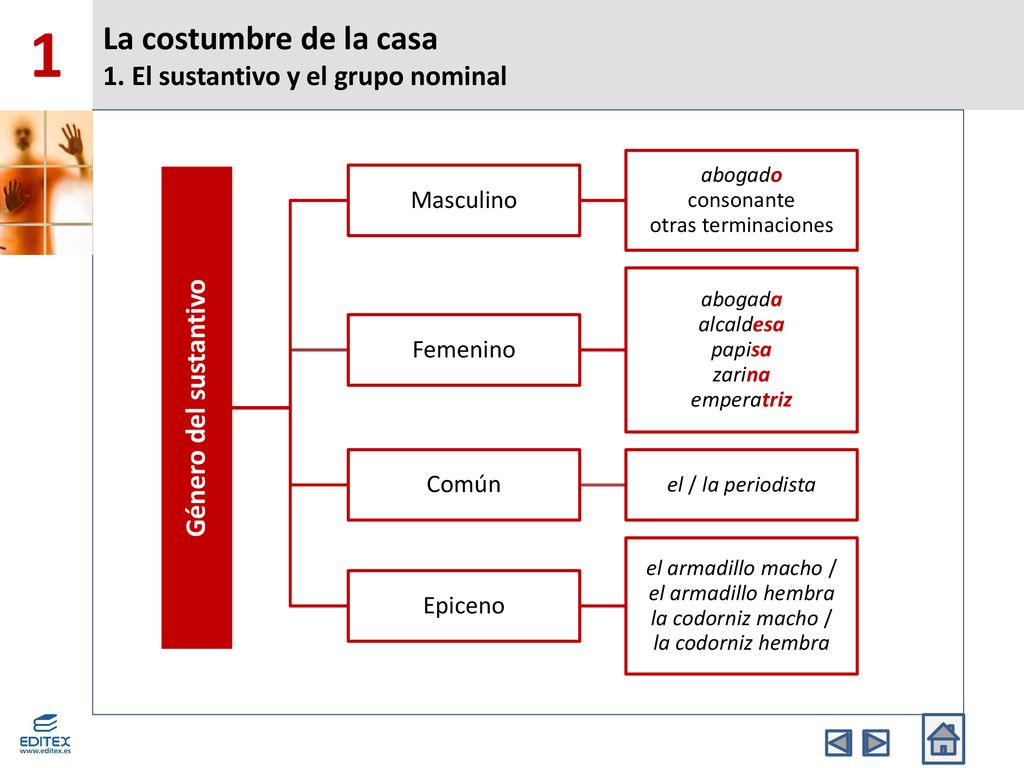 La costumbre de la casa 1. El sustantivo y el grupo nominal