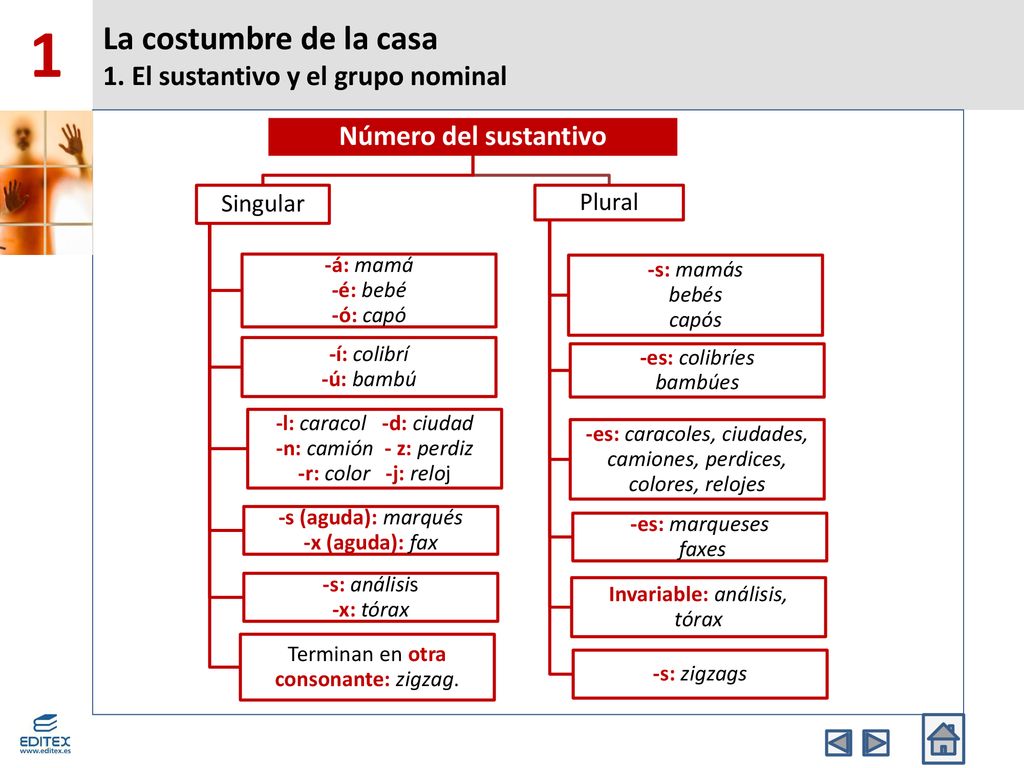 La costumbre de la casa 1. El sustantivo y el grupo nominal