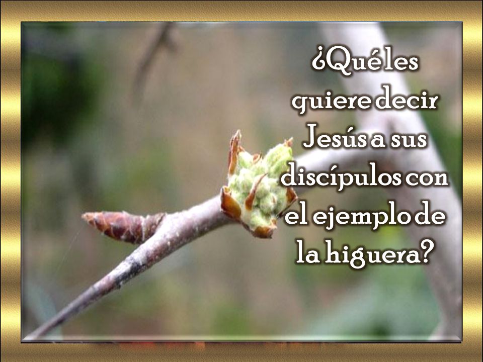 ¿Qué les quiere decir Jesús a sus discípulos con el ejemplo de la higuera