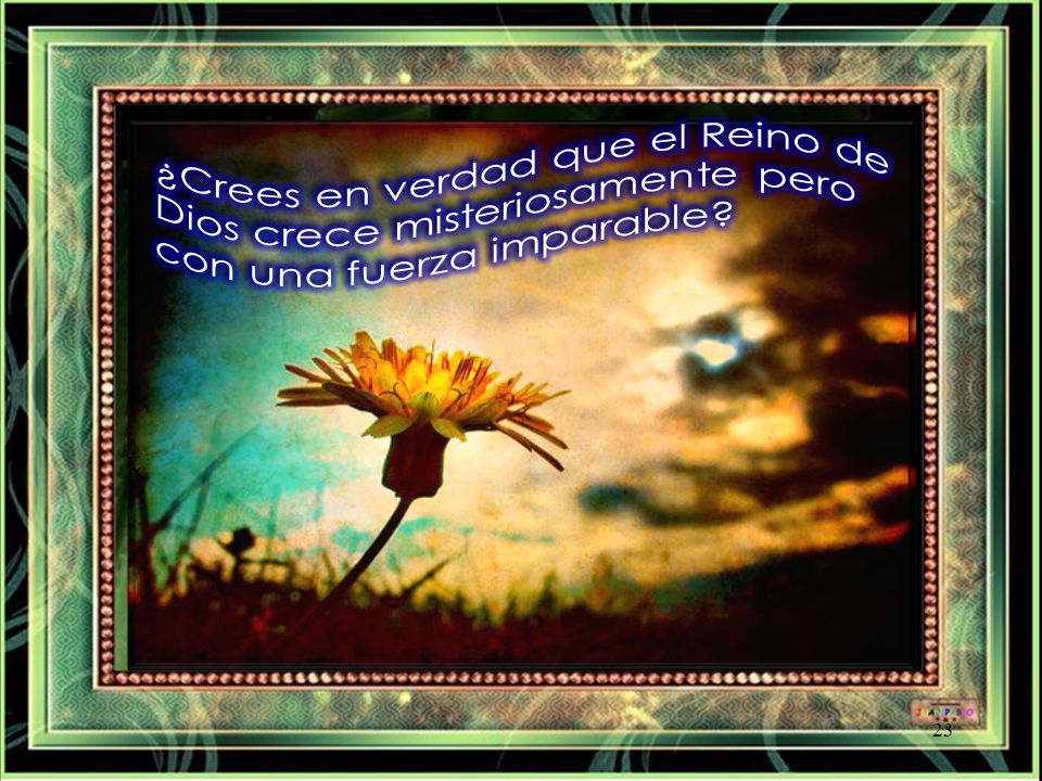 ¿Crees en verdad que el Reino de Dios crece misteriosamente pero con una fuerza imparable