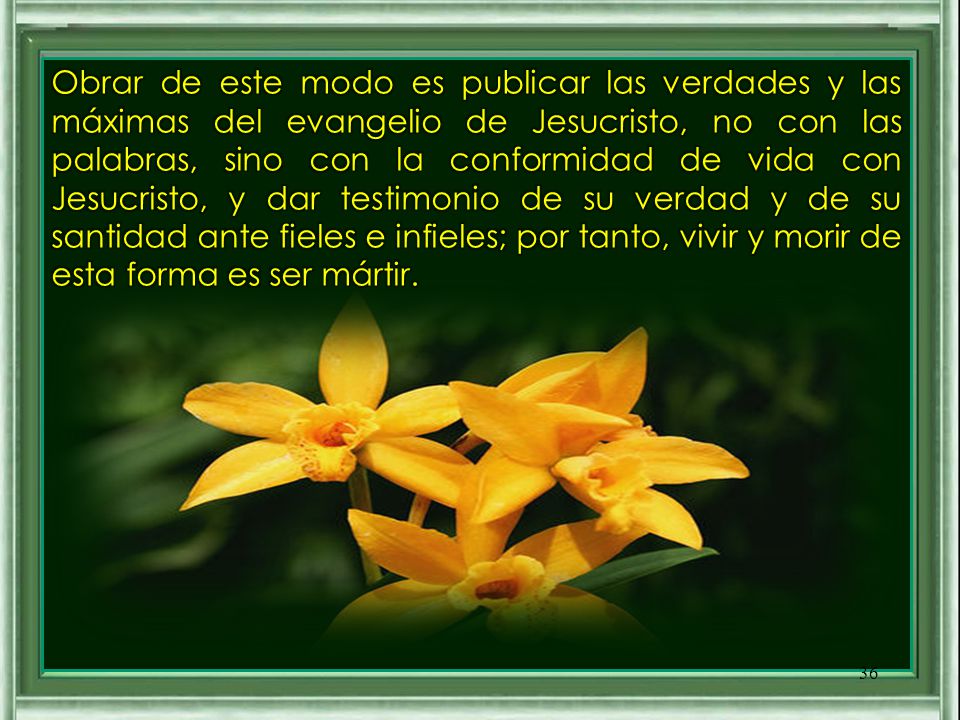 Obrar de este modo es publicar las verdades y las máximas del evangelio de Jesucristo, no con las palabras, sino con la conformidad de vida con Jesucristo, y dar testimonio de su verdad y de su santidad ante fieles e infieles; por tanto, vivir y morir de esta forma es ser mártir.