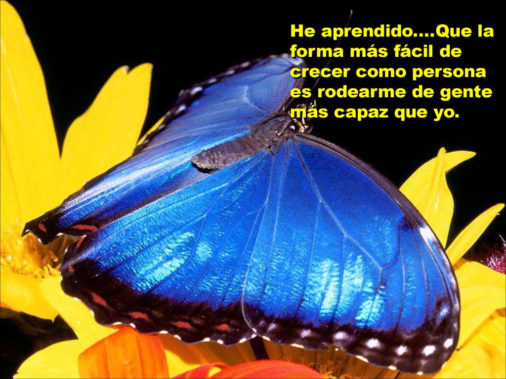 He aprendido....Que la forma más fácil de crecer como persona es rodearme de gente más capaz que yo.