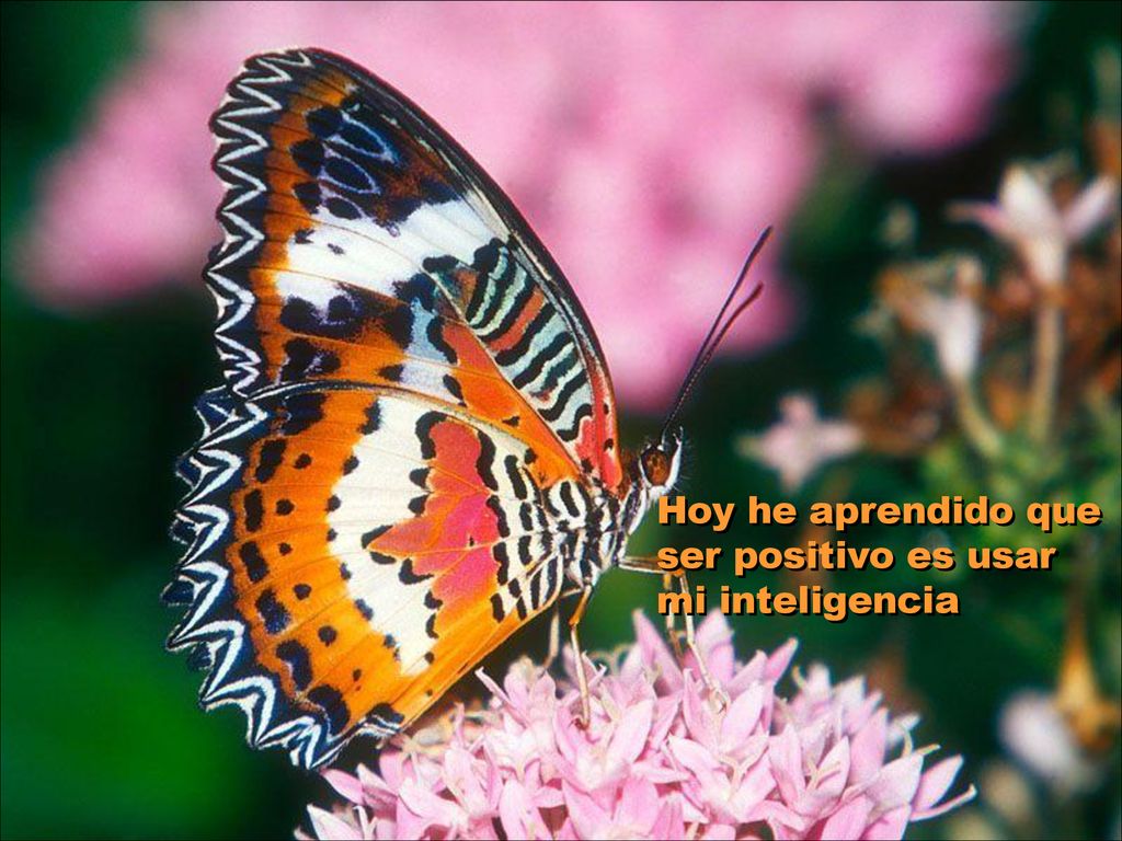 Hoy he aprendido que ser positivo es usar mi inteligencia