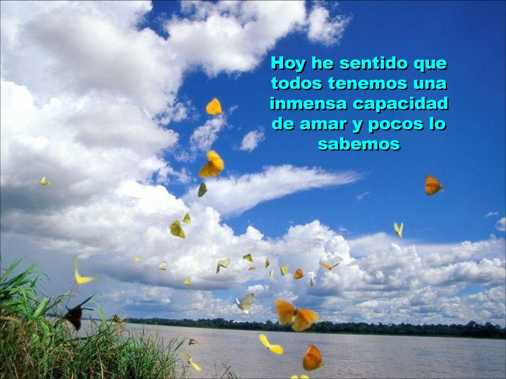 Hoy he sentido que todos tenemos una inmensa capacidad de amar y pocos lo sabemos