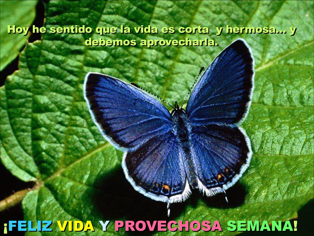 Hoy he sentido que la vida es corta y hermosa… y debemos aprovecharla.