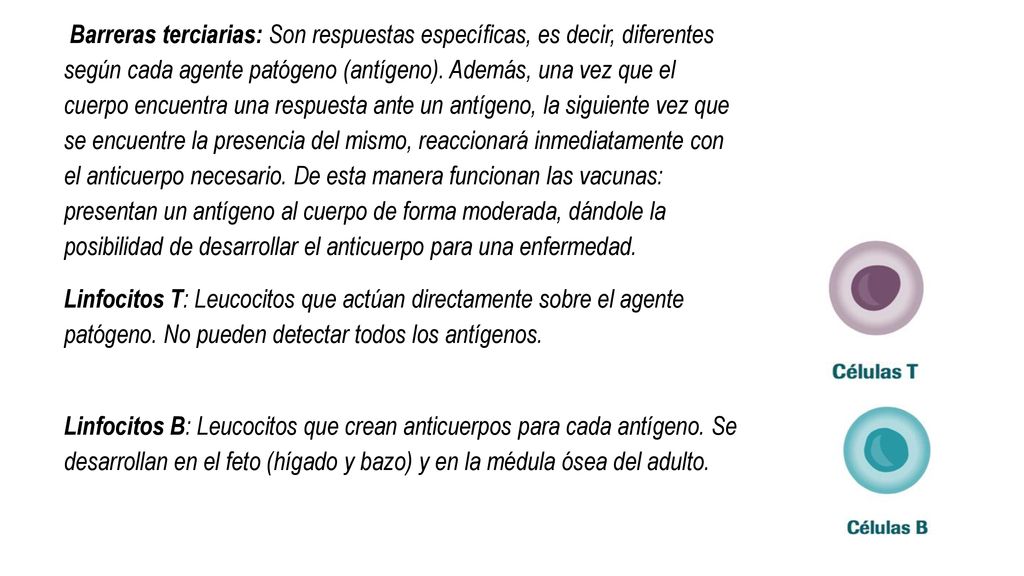 Barreras terciarias: Son respuestas específicas, es decir, diferentes según cada agente patógeno (antígeno). Además, una vez que el cuerpo encuentra una respuesta ante un antígeno, la siguiente vez que se encuentre la presencia del mismo, reaccionará inmediatamente con el anticuerpo necesario. De esta manera funcionan las vacunas: presentan un antígeno al cuerpo de forma moderada, dándole la posibilidad de desarrollar el anticuerpo para una enfermedad.