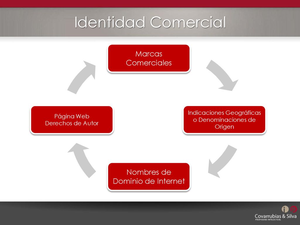Identidad Comercial Marcas Comerciales Nombres de Dominio de Internet