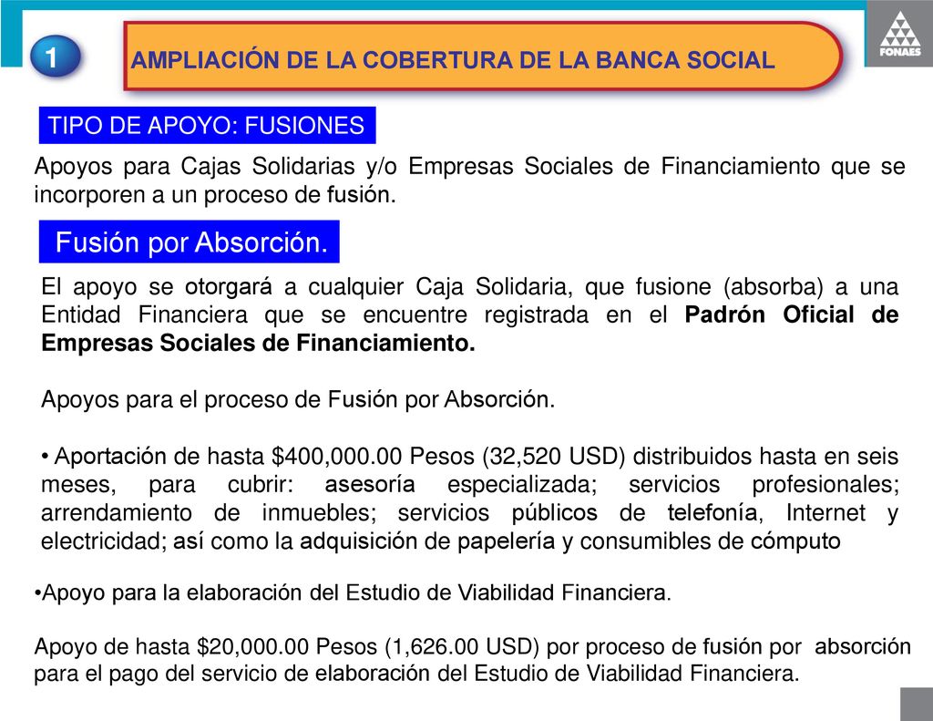 1 Fusión por Absorción. AMPLIACIÓN DE LA COBERTURA DE LA BANCA SOCIAL